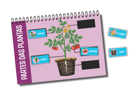 FLORA - O Mundo das Plantas