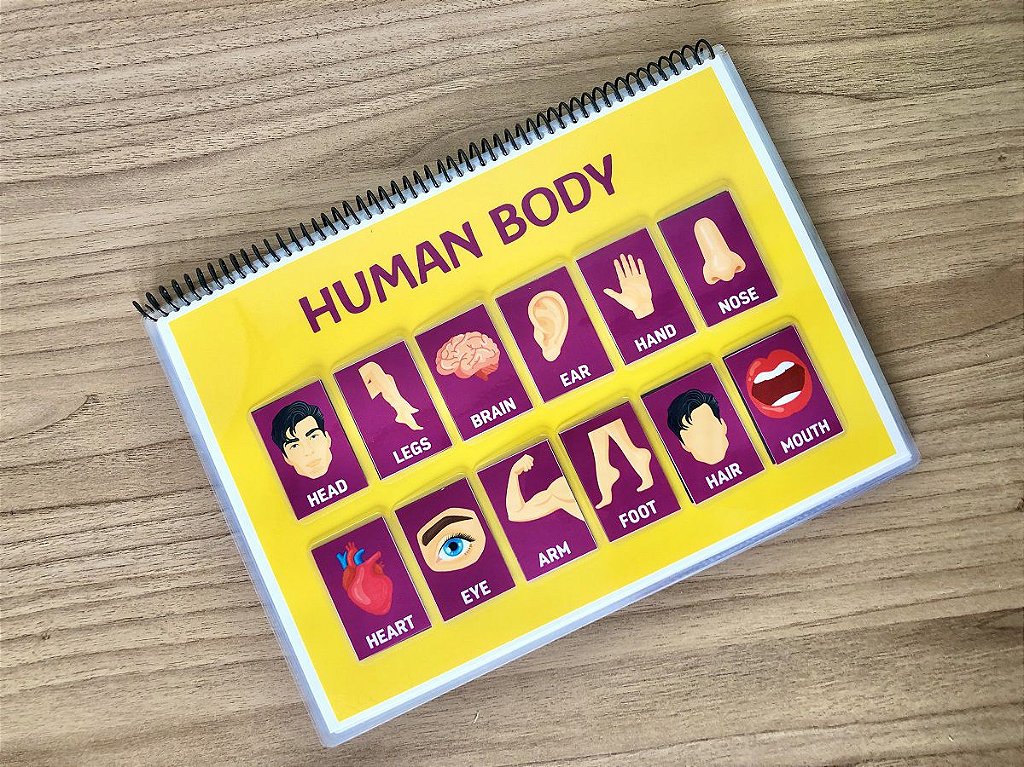 Minhas Primeiras Palavras em Inglês