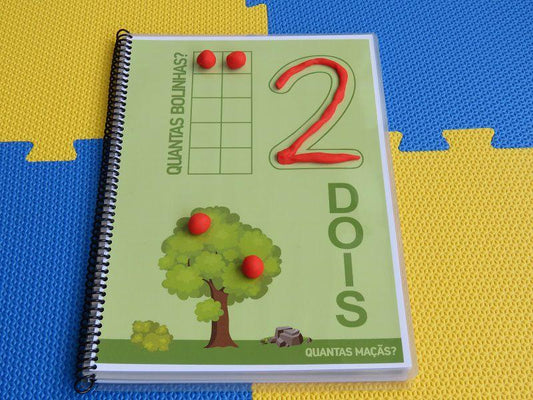 O Mundo dos Números Vol.1